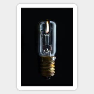 Bulb Sticker